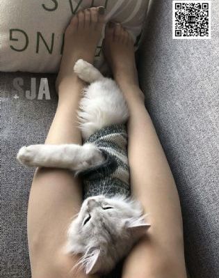 性生大片免费观看无遮挡_HD免费播放